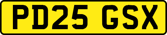 PD25GSX
