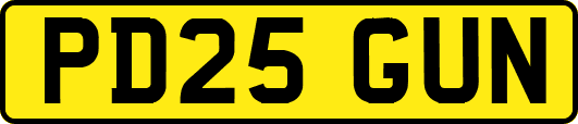 PD25GUN