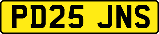 PD25JNS