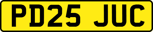 PD25JUC