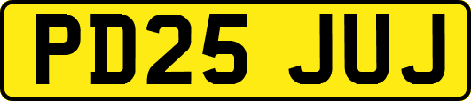 PD25JUJ