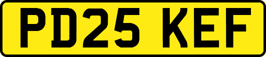 PD25KEF