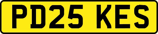 PD25KES