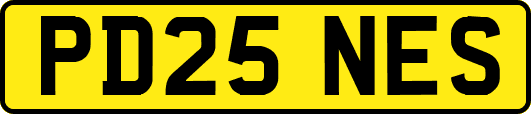 PD25NES