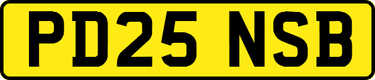 PD25NSB