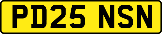 PD25NSN