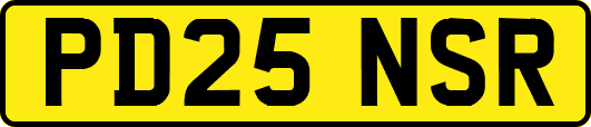 PD25NSR