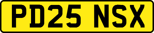 PD25NSX