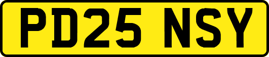 PD25NSY