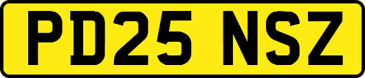 PD25NSZ