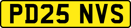 PD25NVS