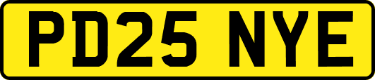 PD25NYE