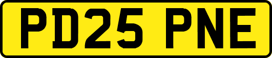 PD25PNE
