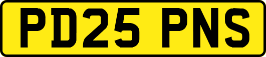 PD25PNS