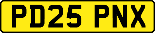 PD25PNX