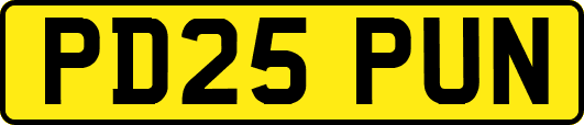 PD25PUN
