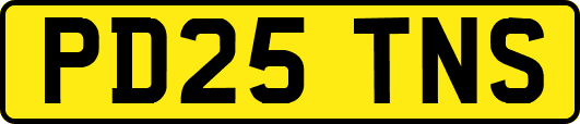 PD25TNS