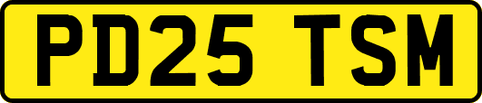PD25TSM