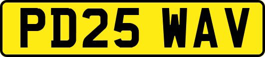 PD25WAV
