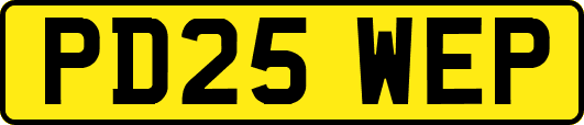 PD25WEP