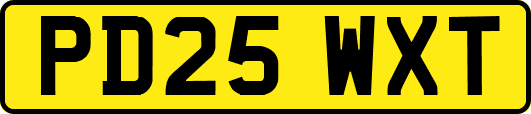 PD25WXT
