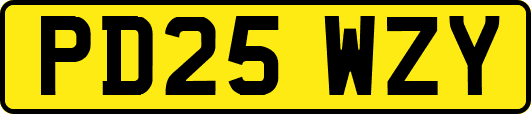 PD25WZY