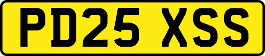 PD25XSS