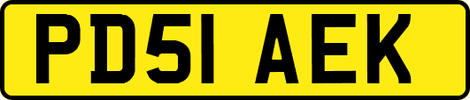 PD51AEK