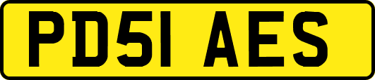 PD51AES