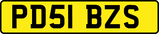 PD51BZS