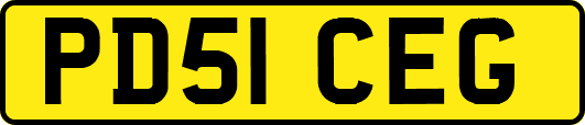 PD51CEG