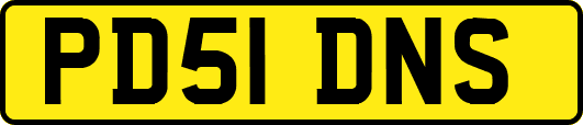 PD51DNS