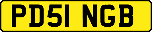 PD51NGB