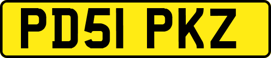 PD51PKZ