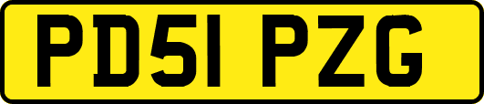 PD51PZG