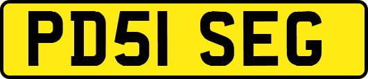 PD51SEG