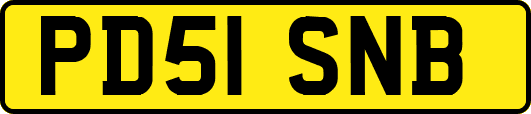 PD51SNB