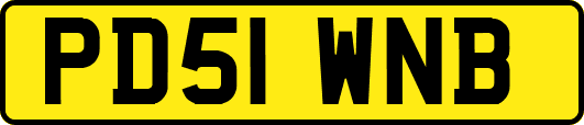 PD51WNB