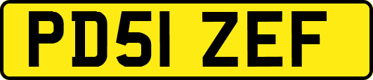 PD51ZEF