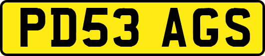 PD53AGS