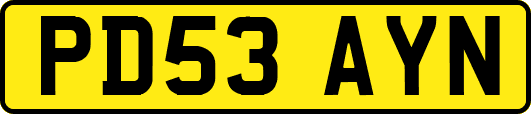 PD53AYN