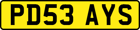 PD53AYS