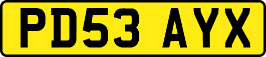 PD53AYX