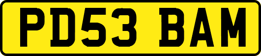 PD53BAM