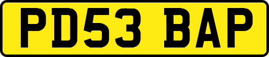 PD53BAP