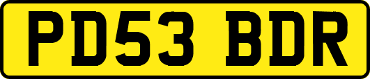 PD53BDR