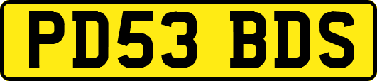 PD53BDS