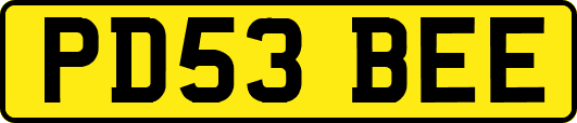 PD53BEE