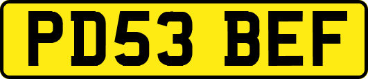 PD53BEF