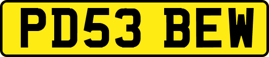 PD53BEW